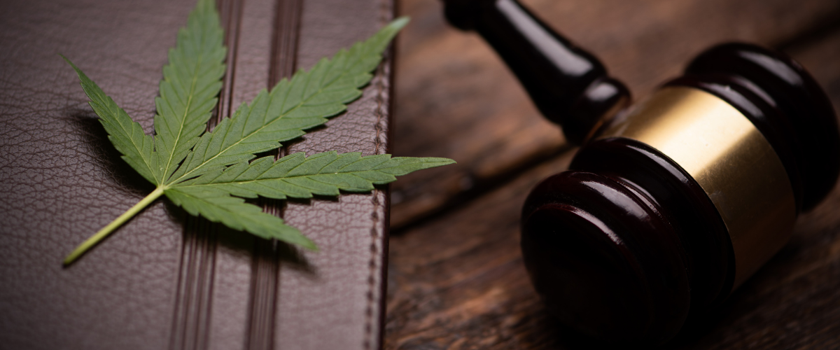 Cannabis leaf and judge gavel on wooden table close up